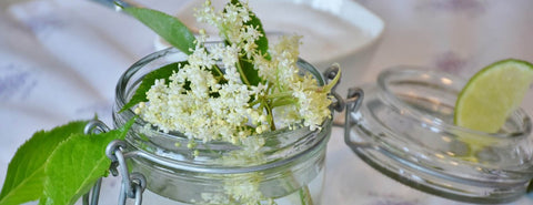 Sciroppi per Granita