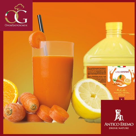 Succo di Frutta in Tanica Concentrato al 70% | A.C.E. Large - officinegastronomiche