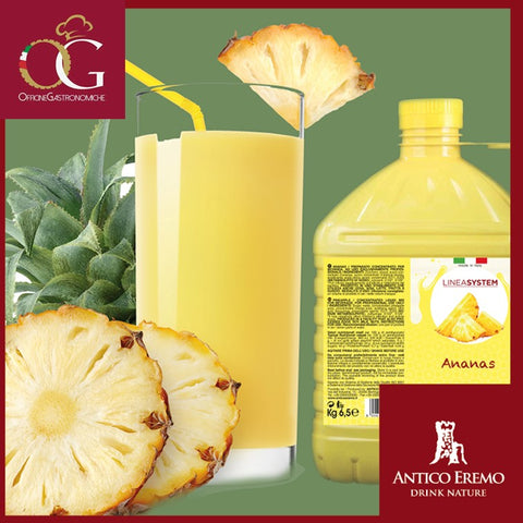 Succo di Frutta in Tanica Concentrato al 70% | Ananas Large - officinegastronomiche