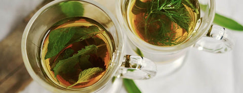 Tea Infusions and Herbal Teas