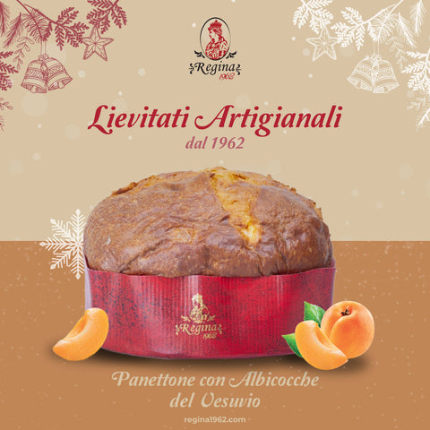 Regina Bakery - PANETTONE ALLE ALBICOCCHE DEL VESUVIO - 1 kg